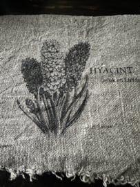 Shabby hyacinten