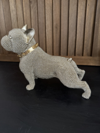 Bulldog