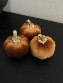 Pompoenen