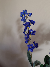 Chrysanthemum blauw 85 cm