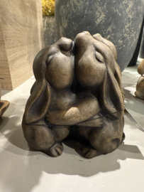 Brynxz Rabbits fall in love