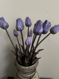 Bos tulpen 5 st . paars 47 cm