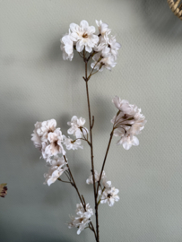 Kersenbloesem Off-White  86 cm