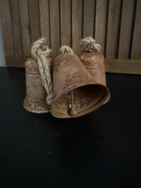 Klokje rusty 10 cm