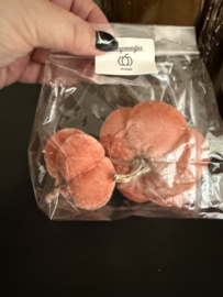 Set Pompoentjes ( 2 st.)