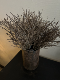 Bosje gagel ( 6 takjes ) 45 cm