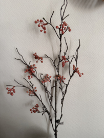 Kunsttak Berry