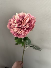 Peony roze 79 cm