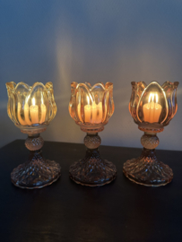 Waxine glaasjes Tulp