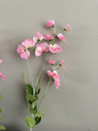 Wikke roze 76 cm