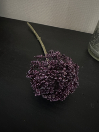 Allium dark purple 29 cm