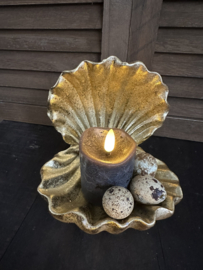 Coquilles tolan