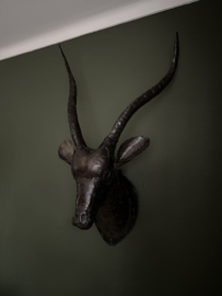 Wand antilope kop