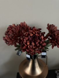 Chrysant donker rood