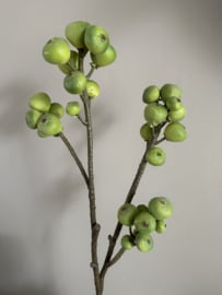 Fruit tak