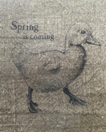 Shabby spring is coming eend