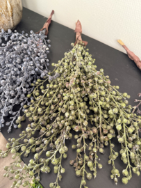 Kunst Dadeltak Groen