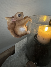 Glashangers Egel of Eekhoorn