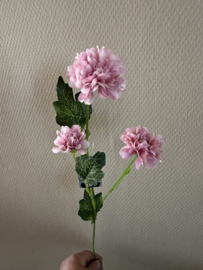 Dendranthema Mauve 58 cm