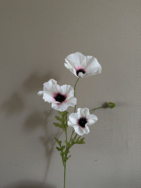 Poppy  Wit  63 cm