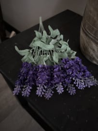 Vlinder lavendel