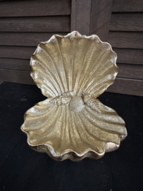 Coquilles tolan