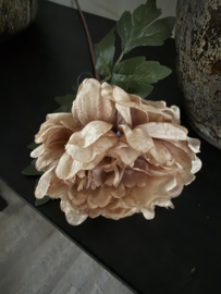 Dahlia licht bruin 58 cm