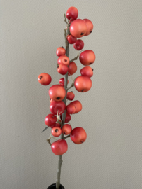 Malus appeltjes ( kunst )