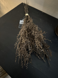 Bosje gagel ( 6 takjes ) 45 cm
