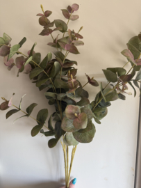 Eucalyptus groen Rose 90 cm