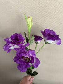 Lisianthus paars 74 cm