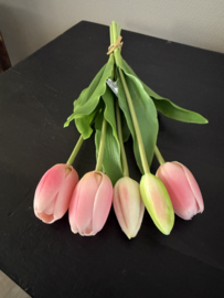 Tulpen roze ( 5 st) bos  36 cm