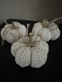 Pompoentjes