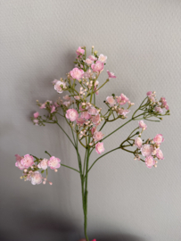 Gypsophilia roze 68 cm