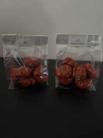 Zakje Solanum pompoen