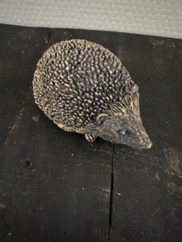 Egel Andy bruin