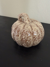 Pompoen Dolo