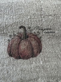 Shabby Pompoen kleur