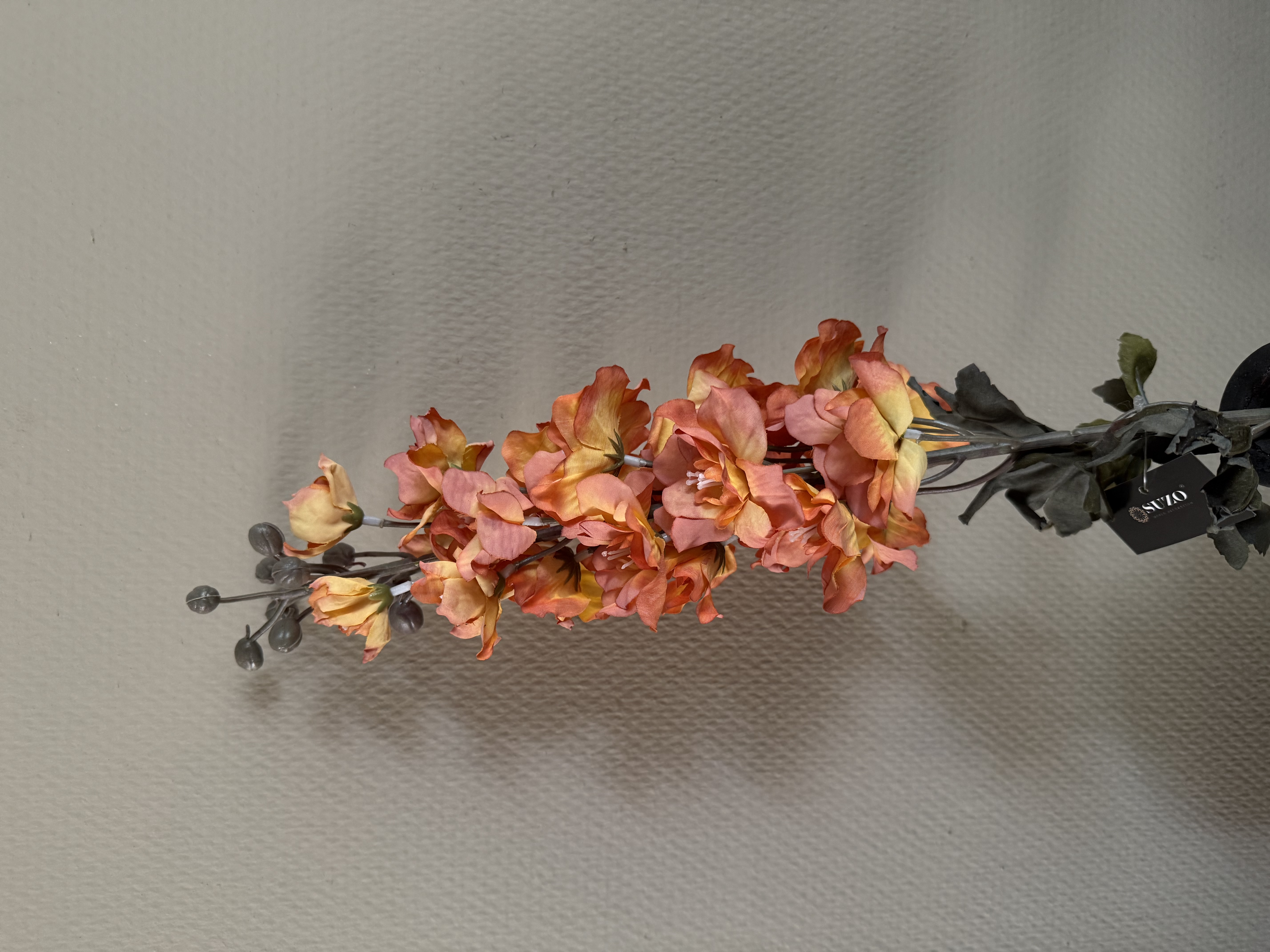 Delphinium Orange