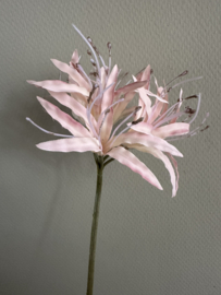 Nerine roze 91 cm