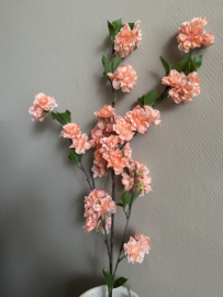 Bloesem zalm 88 cm