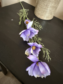 Cosmos Chanel paars 61 cm