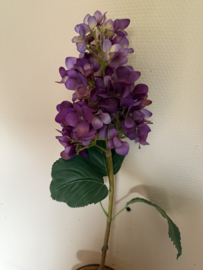 Hydrangea purple 74 cm