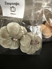 Set Pompoentjes ( 2 st.)