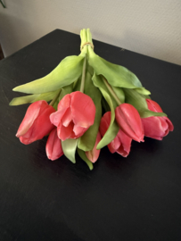 Tulpen fuchsia ( 7 st) 30 cm