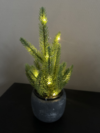 Mini kerstboompjes + potje ( met en zonder led)