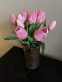 Tulpen  Roze  30 cm