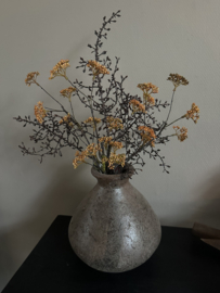 Mos tak Rice flower orange yellow