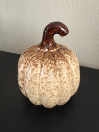 Pompoenen beige /bruin  4 verchillende