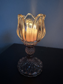 Waxine glaasjes Tulp